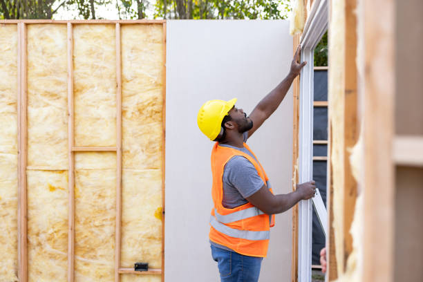 Best Insulation for New Construction  in Alamo Heights, TX